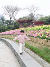 佛山春日賞花好去處，大片花海已開滿山坡