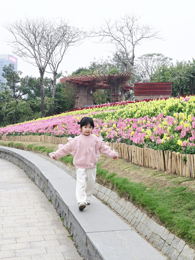 佛山春日賞花好去處，大片花海已開滿山坡
