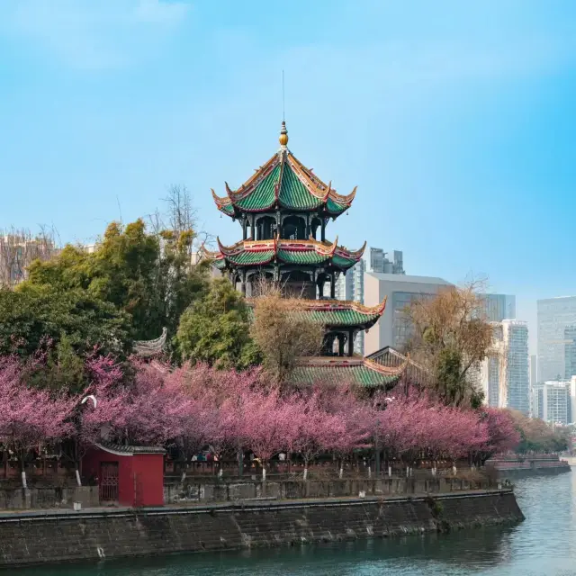 Always believe in the spring of Wangjiang Tower Park!