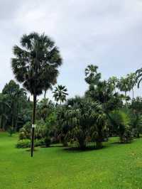 新加坡植物園