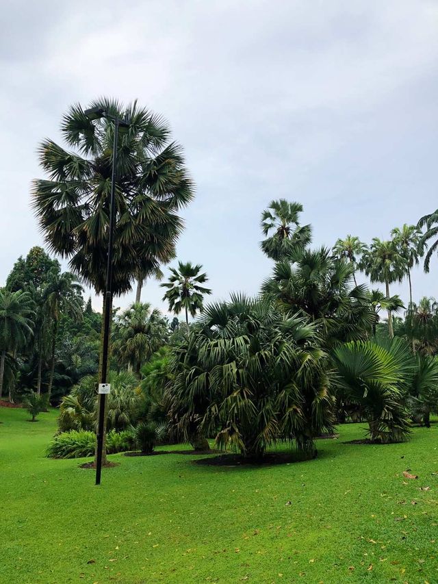 新加坡植物園