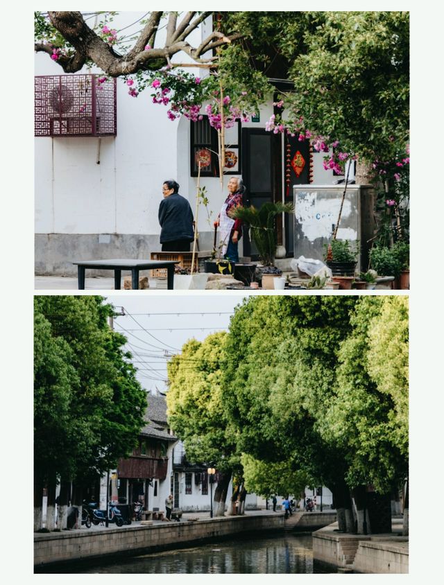 上海歷史文化最濃厚的古鎮-練塘古鎮