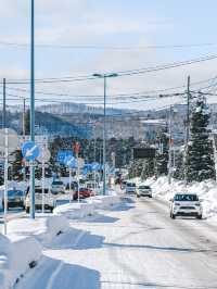 來北海道旅行必知的十件事！