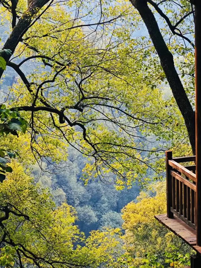 Don't just visit Hongya Cave when you come to Chongqing! I highly recommend this ancient trail