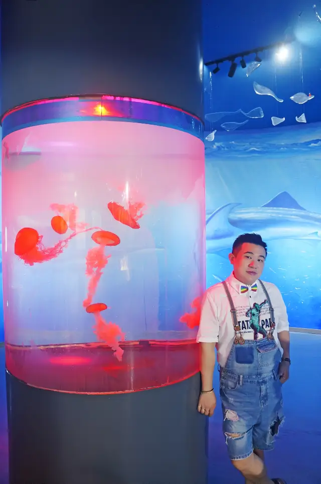 國慶|來重慶看西南首屆驚奇鯊魚展