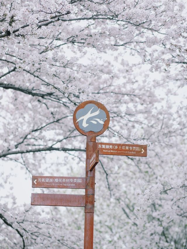 太湖植物園，你不錯過的暢玩南