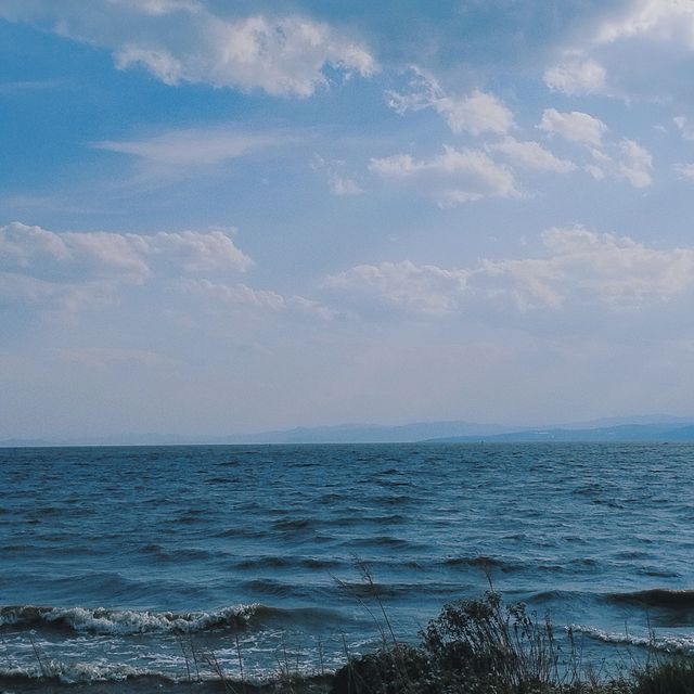 周末春遊：追逐日落的浪漫之旅