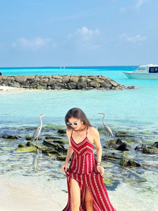 我宣布Fulidhoo是我見過最美的海