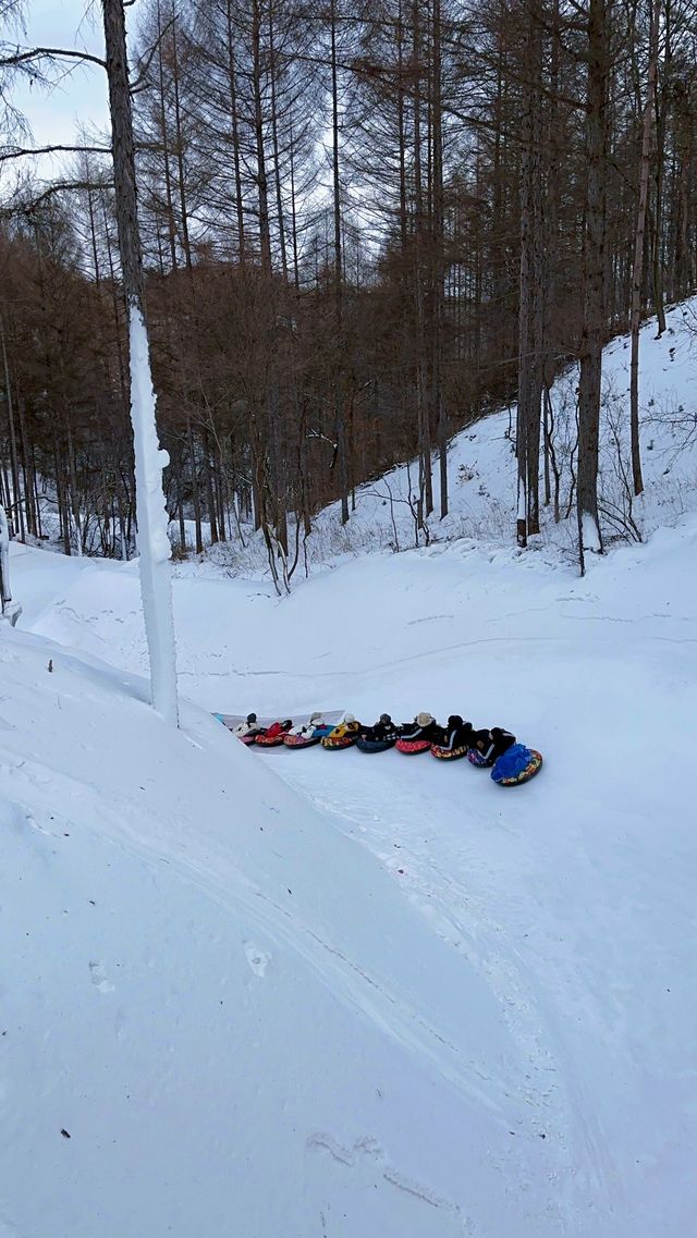 沈陽周邊玉龍溪大峽谷風景區|超級好玩的雪圈