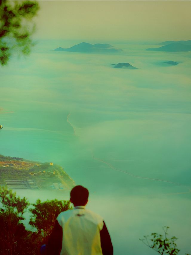 深圳仙境