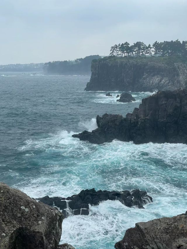 熱帶風情與自然奇蹟交匯之地 | 濟州島