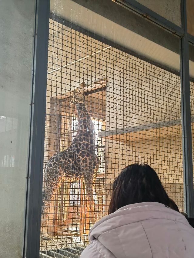 濟南週六週日親子旅遊好去處