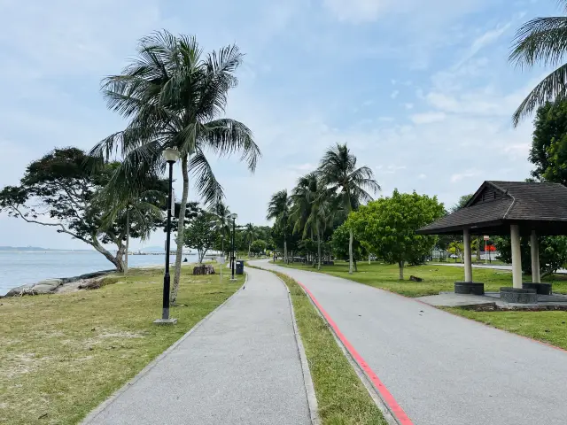 Before coming to Singapore, the children had already made their plans early, and watching planes at Changi Beach Park was a must-do item on their list