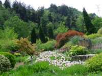 鮮花山谷——登高雲山·雲谷花境
