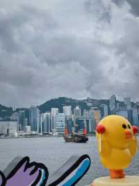久違了香港終於又來了！香港最新政策和攻略快收藏