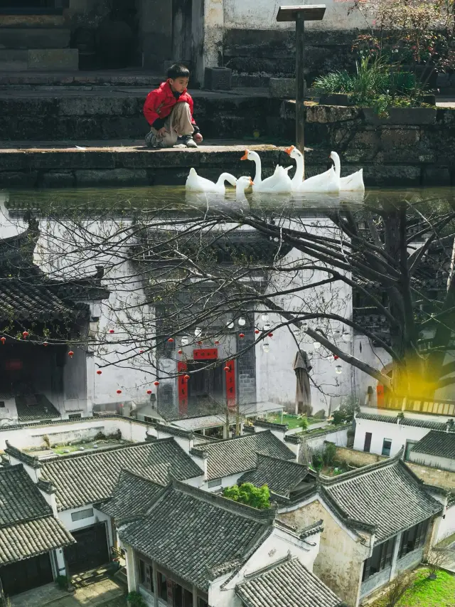 This has been selected by 'National Geographic' as the modern 'Along the River During the Qingming Festival'