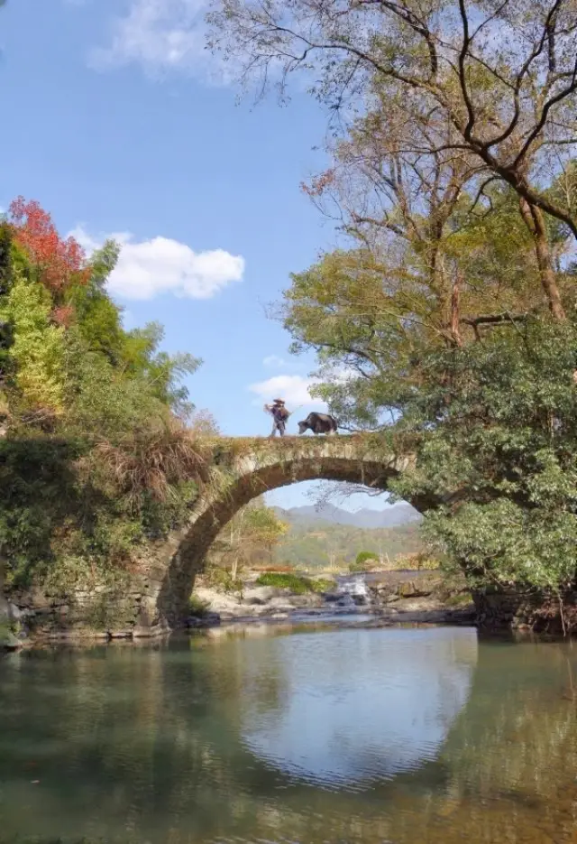 Wuyuan Chaguancun—a thousand-year-old village, an internet-famous ancient bridge!