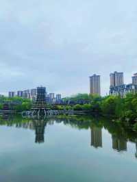 帶孩子就來秀湖公園