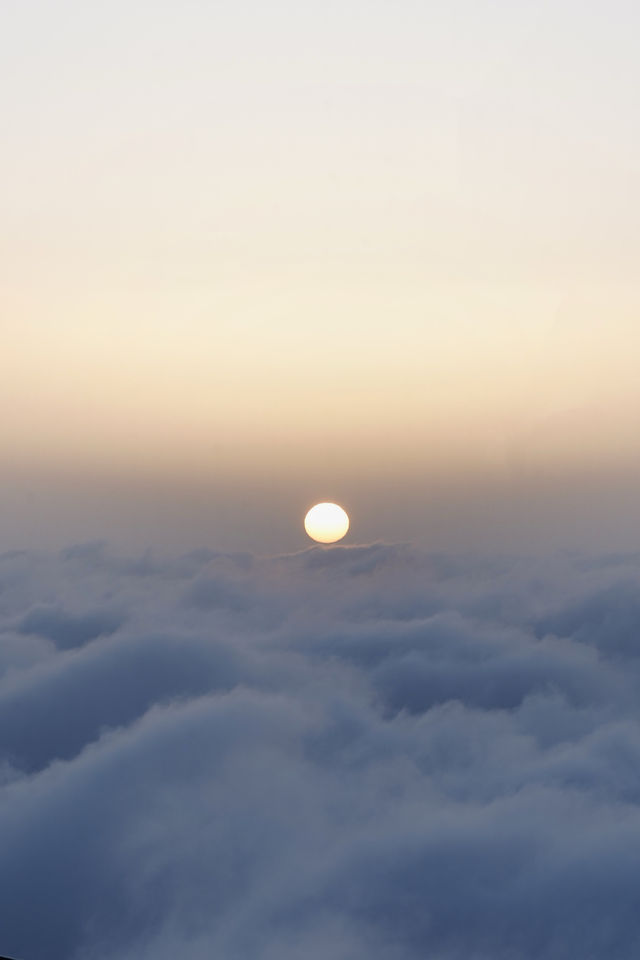 牛背山·向雲端，3666 對望貢嘎雪山！