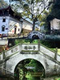 大隱隱於市，小隱隱於野