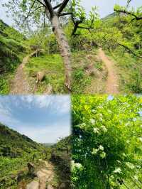 彭州葛仙山下的6公里野趣徒步之旅