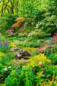 魔都最美的莫奈花園，闖入童話世界