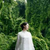 如果雨天沒地方去，那就去看油麻藤