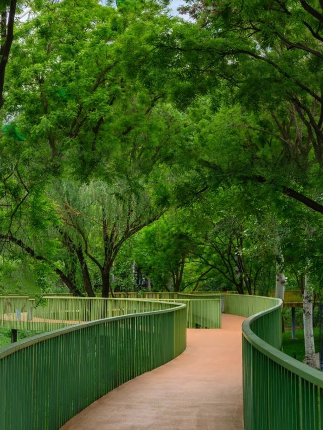 北京這個人少免費的公園真是太走心了！