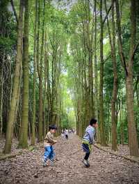 成都1h，穿越森林之門感受春和景明