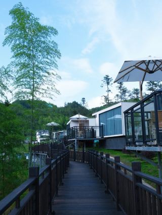 Reverse holiday travel, in Chenzhou! A forest homestay above the clouds