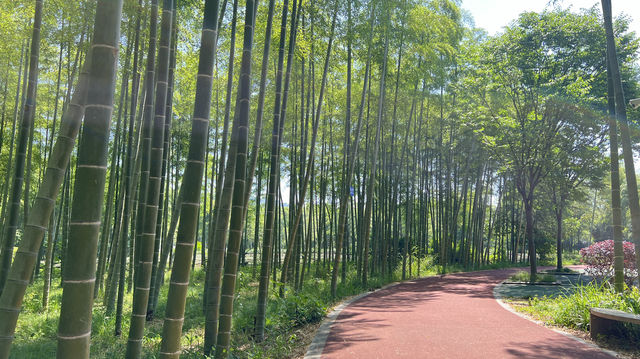 川步村，徒步旅行必打卡地