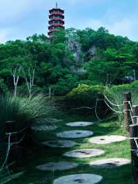 闖進宮崎駿的夏天