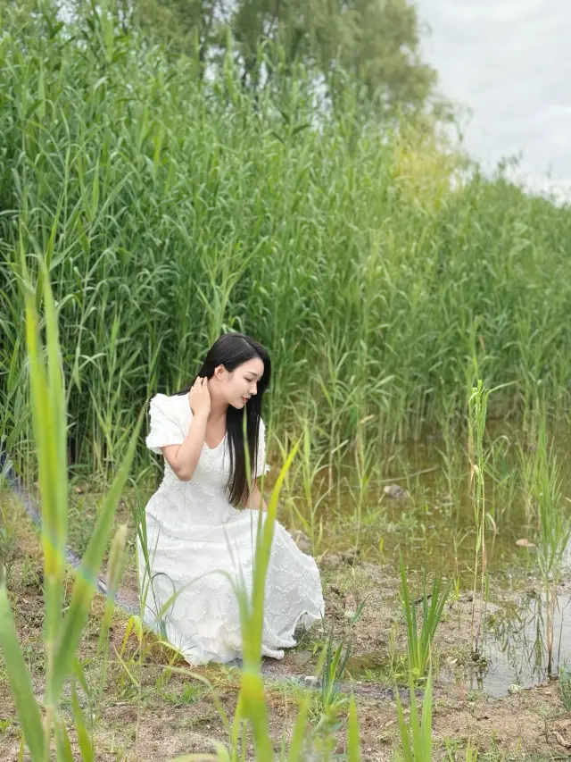 如果去不了阿勒泰｜那就來這裡吧