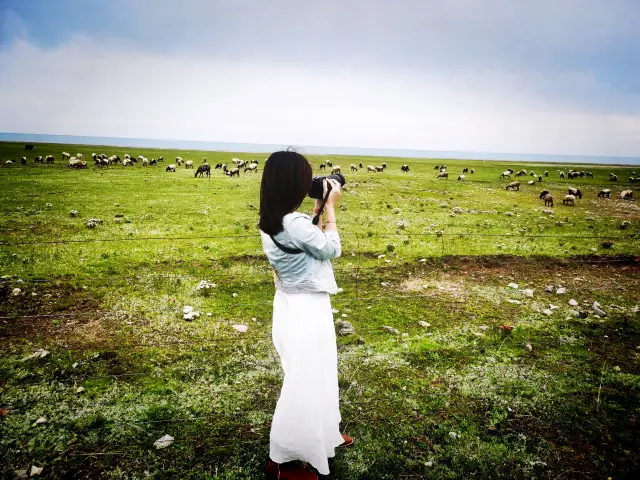 Seven-day Tour of Qinghai-Tibet Plateau Loop