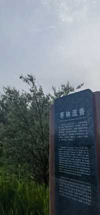 張掖國家濕地公園