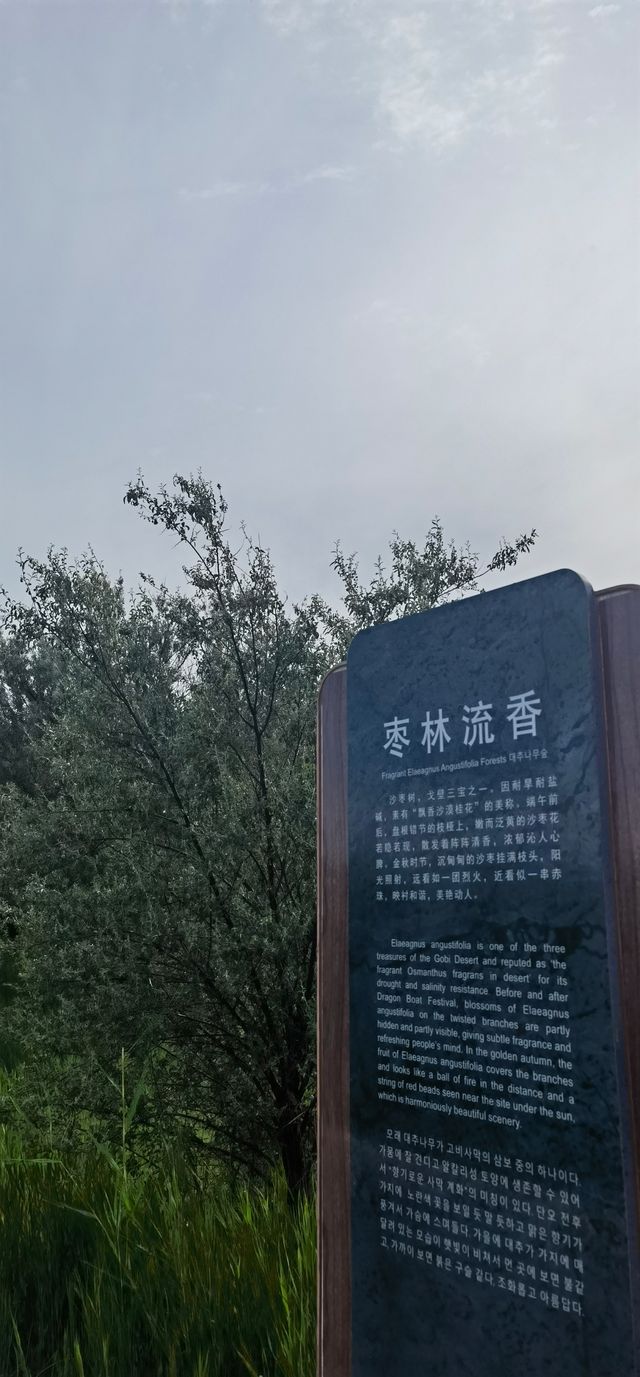 張掖國家濕地公園