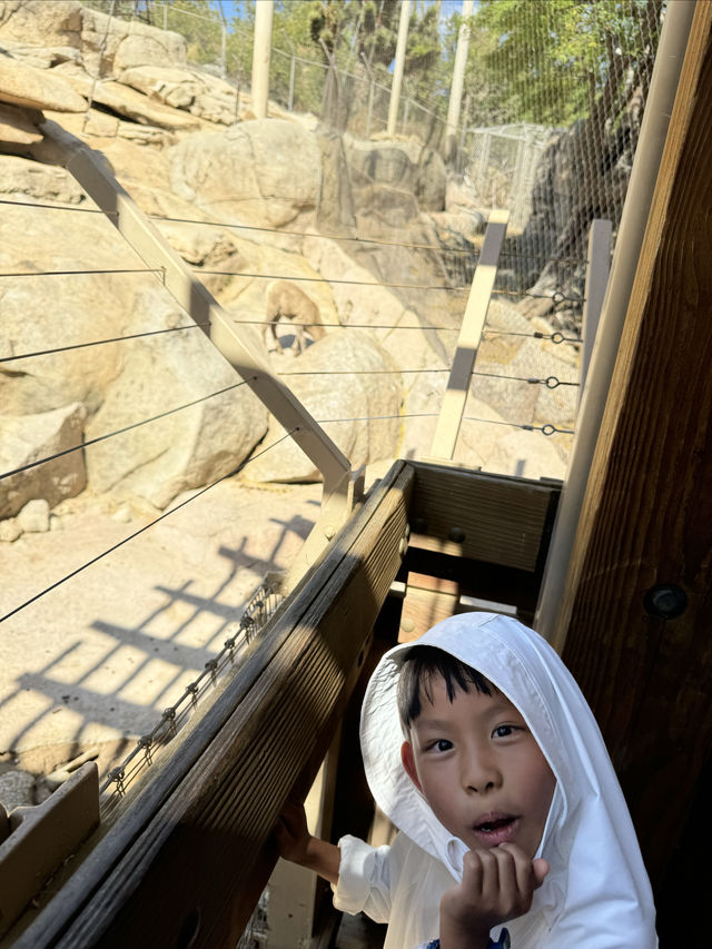San Diego Safari Zoo