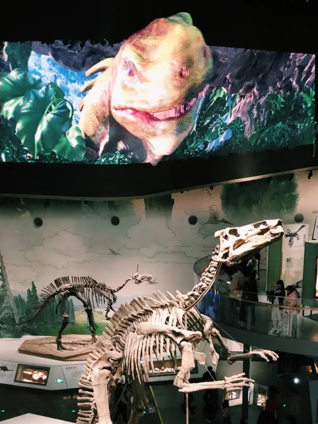 2024 Shandong Museum Latest Guide