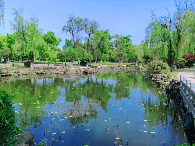 蘇州同裡國家濕地公園，暢享夏日清涼一刻