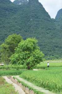 陽朔遇龍河「JK騎行拍照打卡點推薦」