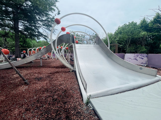 就是我，在38度的高溫裡帶娃去了公園大戶外