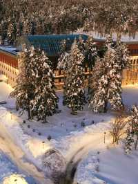 🏔️ Bursa's Best Beds: Swissotel Uludag's Cozy Retreat 🌟