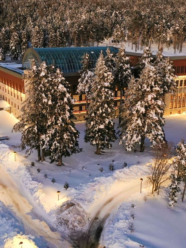 🏔️ Bursa's Best Beds: Swissotel Uludag's Cozy Retreat 🌟