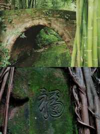 探秘四川眉山青神縣，中岩寺一日心靈之旅！