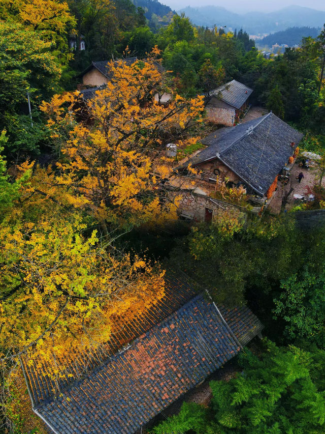 貴州 | 避暑勝地妥樂村