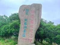 夏日納涼必去！蘇州靜思園的清涼秘密