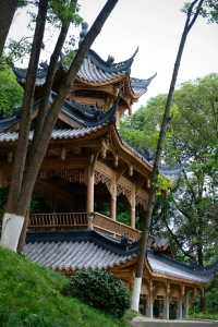 綿陽西山公園推薦