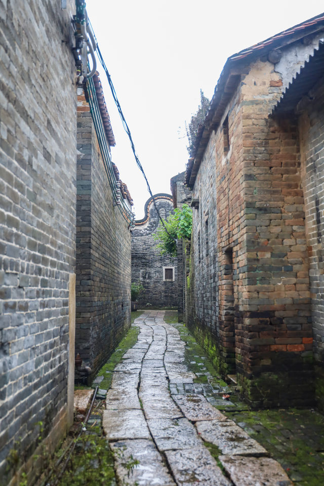 廣州周邊遊雨天來三水別具一番景象很美