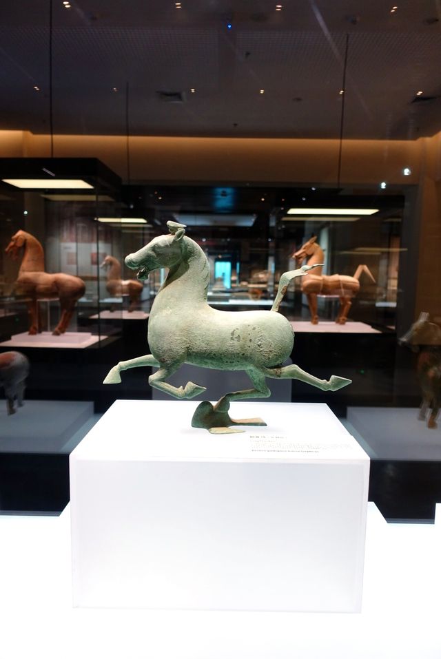 甘肅|武威博物館 甘肅|武威博物館