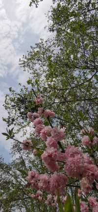 十里河灘
